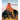 Charles Deas and 1840s America: Volume 4