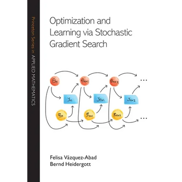 Optimization and Learning Via Stochastic Gradient Search
