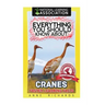 Everything You Should Know About: Cranes