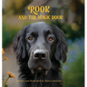 Rook and the Magic Door: Written and Illustrated by Danica Barreau
