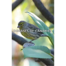 Diseases of Canaries