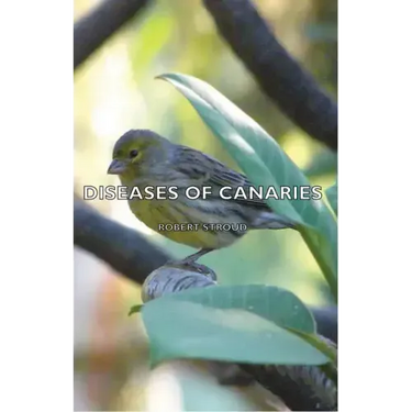 Diseases of Canaries