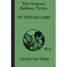 The Bobbsey Twins at Cedar Camp