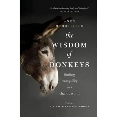 The Wisdom of Donkeys: Finding Tranquility in a Chaotic World