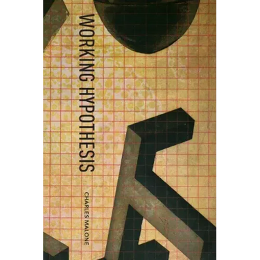 Working Hypothesis