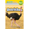 Ostriches: Grassland Animals (Revive Readers, Level Pre-1)