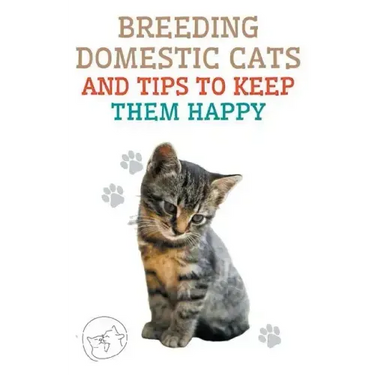 Breeding Domestic Cats and Tips to Keep Them Happy