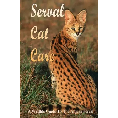 Serval Cat Care: A Wildlife Guide To The African Serval: Facts About The Exotic Breed