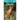 Dholes