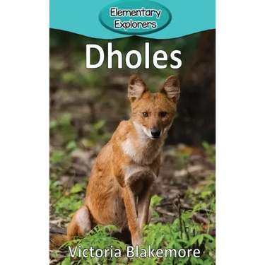 Dholes