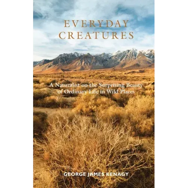 Everyday Creatures: A Naturalist on the Surprising Beauty of Ordinary Life in Wild Places