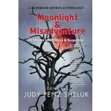 Moonlight & Misadventure: 20 Stories of Mystery & Suspense