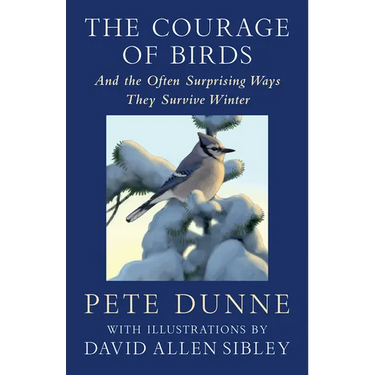 The Courage of Birds: And the Often Surprising Ways They Survive Winter