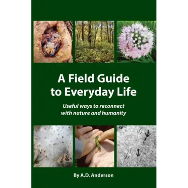 A Field Guide to Everyday Life: Useful Ways to Reconnect with Nature & Humanity