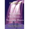 Waterfalls, The Moon and Sensible Shoes: One Lesbian Life