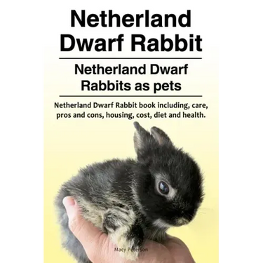 Netherland Dwarf Rabbit. Netherland Dwarf Rabbits as pets. Netherland Dwarf Rabbit book including pros and cons, care, housing, cost, diet and health.
