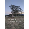 The Heron Could be Lost