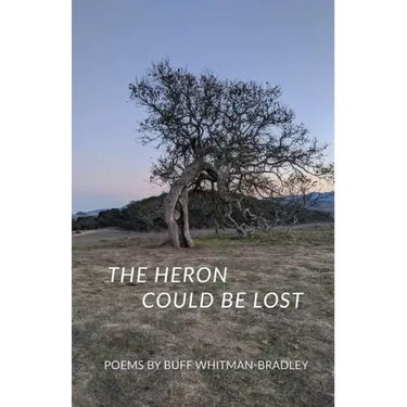 The Heron Could be Lost