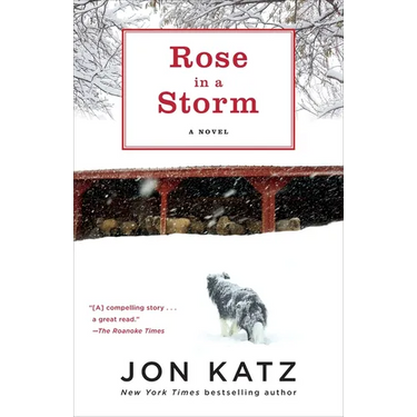 Rose in a Storm