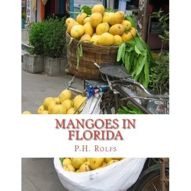 Mangoes in Florida