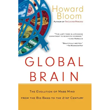 Global Brain: The Evolution of the Mass Mind from the Big Bang to the 21st Century