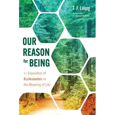 Our Reason for Being: An Exposition of Ecclesiastes on the Meaning of Life