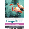 Crossword Puzzles Large Print (Intermediate Level) Vol. 4