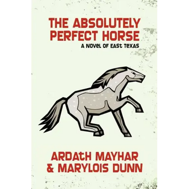 The Absolutely Perfect Horse: A Novel of East Texas