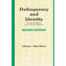 Delinquency and Identity: Delinquency in an American Chinatown