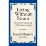 Living Without Strain: The Inner Meaning of the Book of Job: The Inner Meaning of the Book of Job