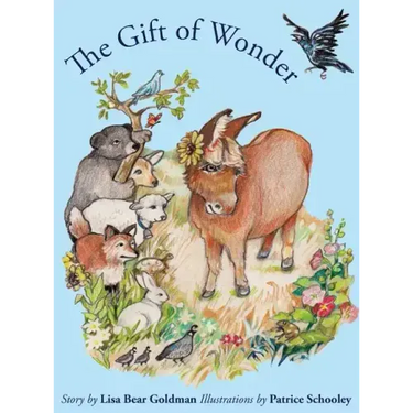 The Gift of Wonder
