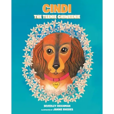 Cindi the Teenie Chiweenie