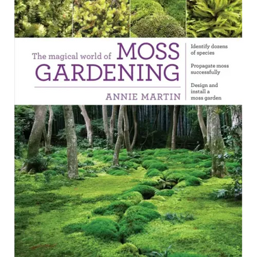 The Magical World of Moss Gardening