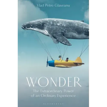 Wonder: The Extraordinary Power of an Ordinary Experience