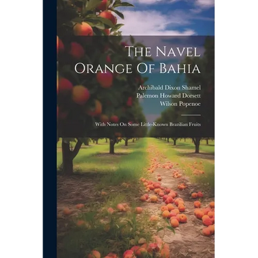 The Navel Orange Of Bahia: With Notes On Some Little-known Brazilian Fruits
