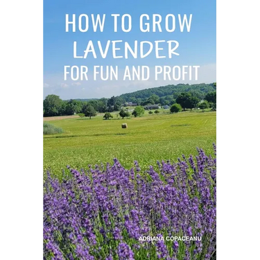 How to Grow Lavender for Fun and Profit: Lessons Learned from Planting Three Hundred Lavender Plants