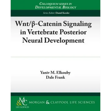 Wnt/ -Catenin Signaling in Vertebrate Posterior Neural Development