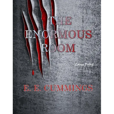 The Enormous Room: Large Print