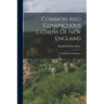 Common And Conspicuous Lichens Of New England: A Fieldbook For Beginners