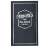 Promises from the Word for Men