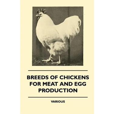 Breeds of Chickens for Meat and Egg Production