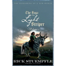 Saga of the Light Striper: The Reframing of a New World, Volume 1