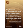 Clay Mineral Transformations after Bentonite/Clayrocks and Heater/Water Interactions from Lab and Large-Scale Tests