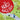 The Burst Balloon: Helping Children Understand Grief and Loss