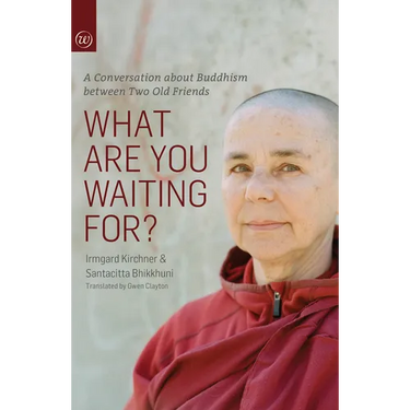 What Are You Waiting For?: A Conversation about Buddhism Between Two Old Friends