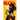 Kaya Book Four