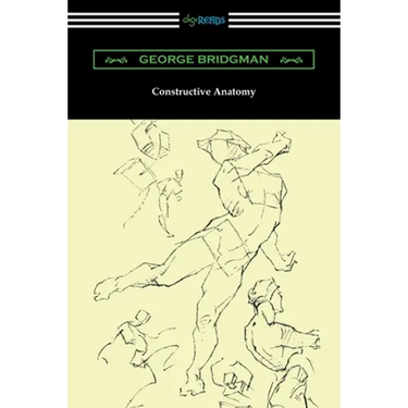 Constructive Anatomy