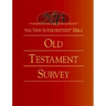 The New Interpreter's(r) Bible Old Testament Survey