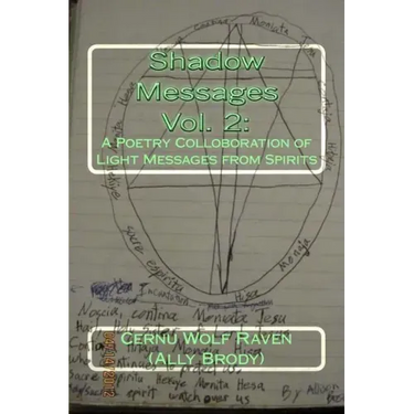 Shadow Messages Vol. 2: : A Poetry Colloboration of Light Messages from Spirits