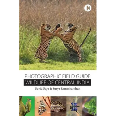 Wildlife of Central India: Photographic Field Guide